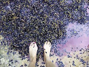 Explore La Rioja wine, cook & walk