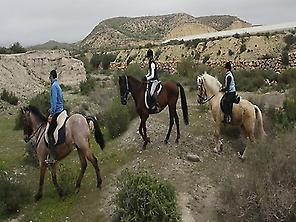 Horseback riding Sierra Alhamilla. Almería