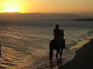 Horseback riding by the beach