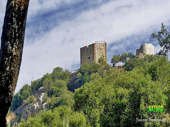 Visita al Castillo de Monfragüe.