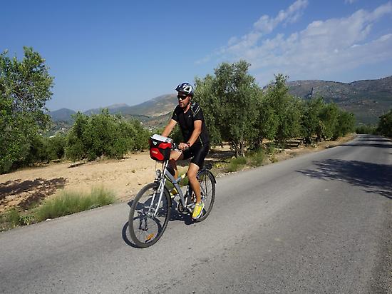 Cyclist crossing an olive grove