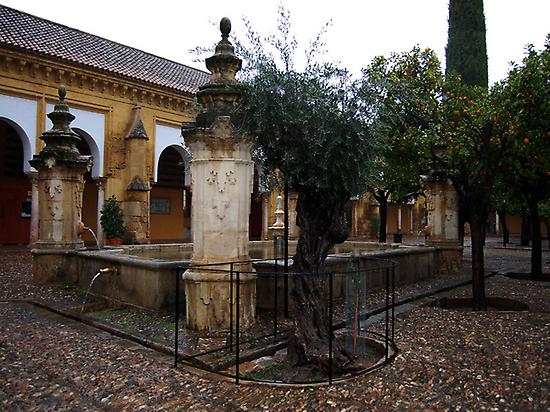 Cour des Orangers - Mosquée-Cathédrale