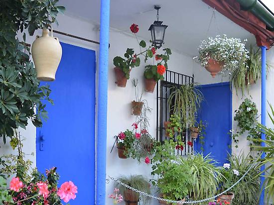 Guided tour of Patios Cordobeses