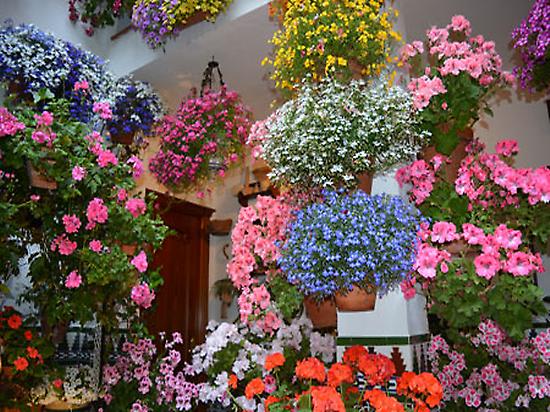 Book your guided tour to visit Patios
