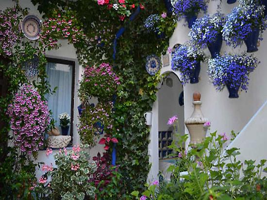 Visit Patios of Cordoba