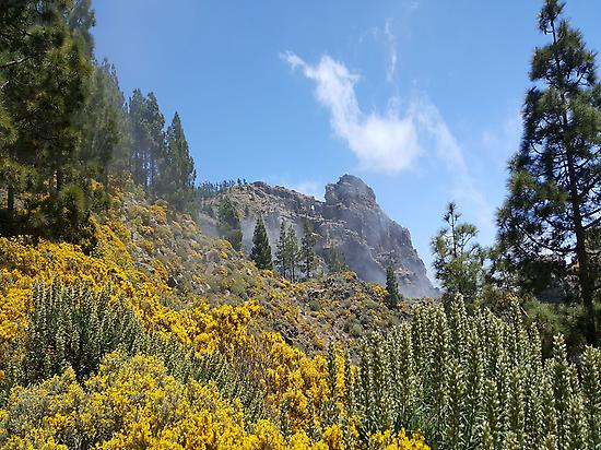 The highest peak, Pico de las Nieves 