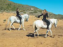 Horse at the beach of Calblanque