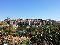 Avila Walls