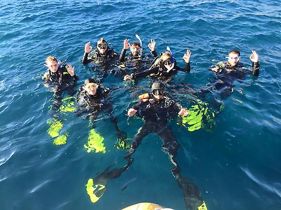 Ready to dive!