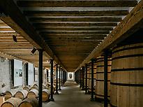 Art collection / ancient winemaking area