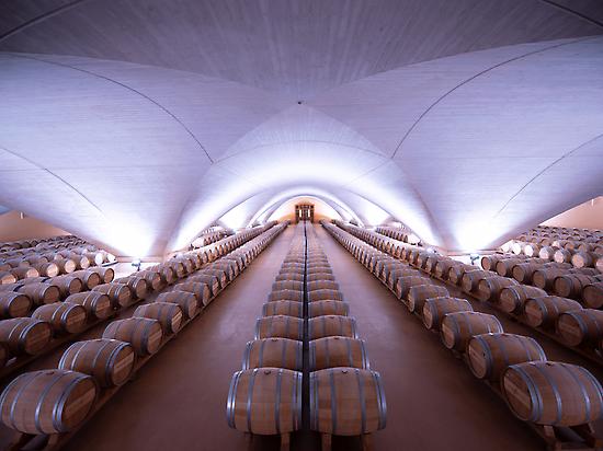Barrels room, the Wine Cathedral