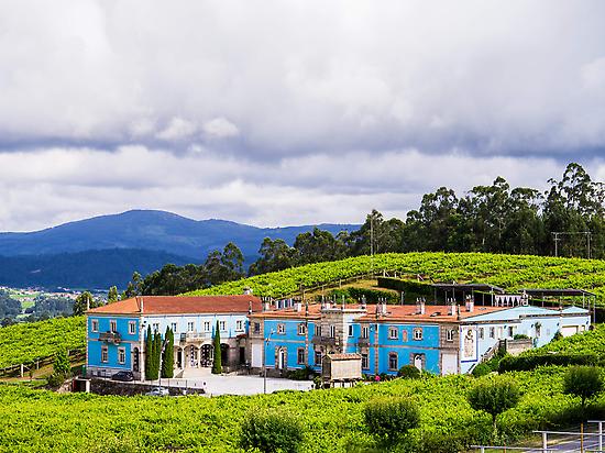 Aereal picture of the winery