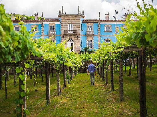 Winery and vineyards