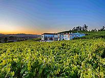 Vista aérea de la bodega y sus viñedos.