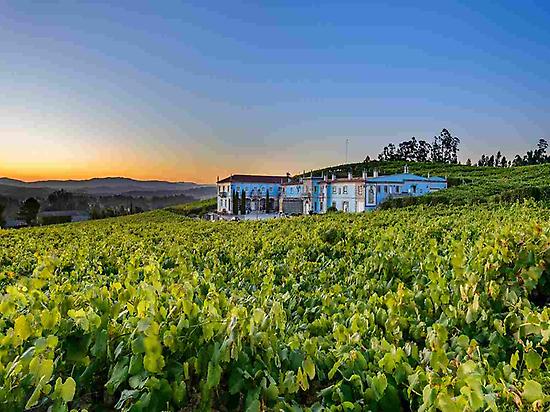 Aereal picture of the winery