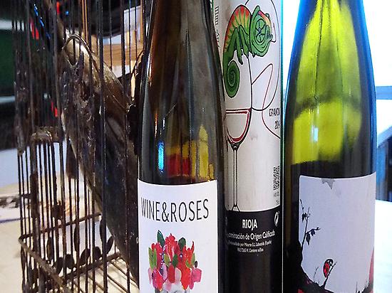 Our wine: wine & roses