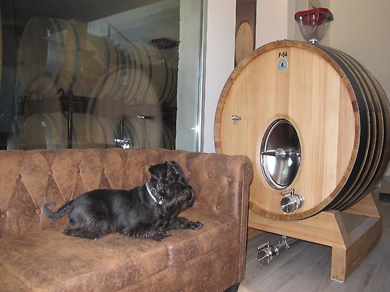 ENCIMA WINES IS A #DOGFRIENDLY WINERY