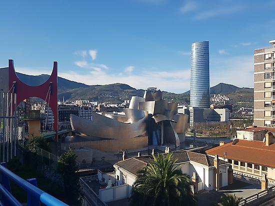 Guggenheim Bilbao from the other side