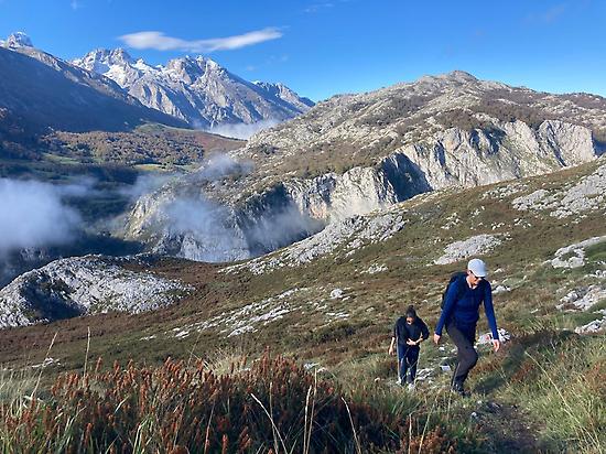 Camina en primavera, verano y otoño.