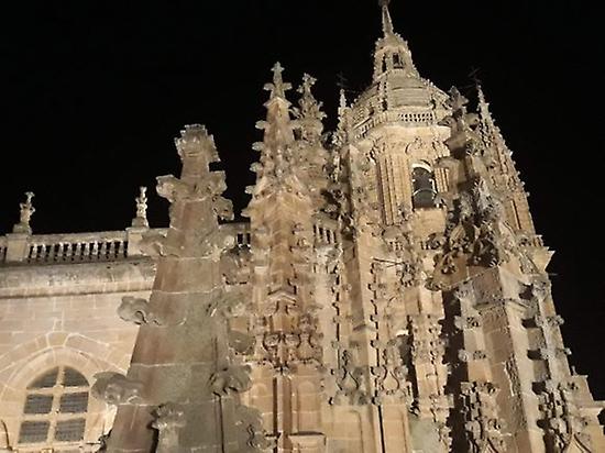 Night Time tours in Salamanca