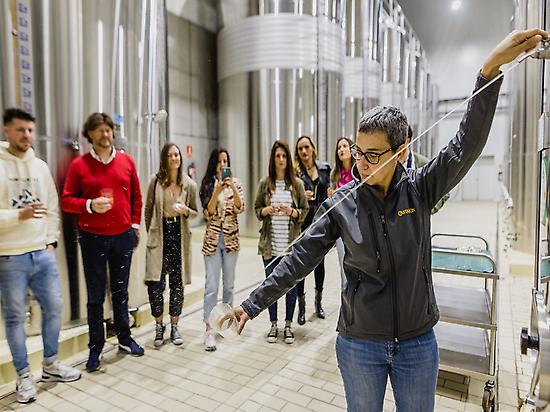 Degustación de sidra en el Llagar