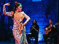 Baraka flamenco show