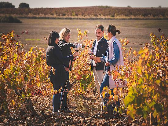 wine tourism in vineyards