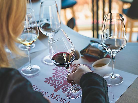 wine tasting