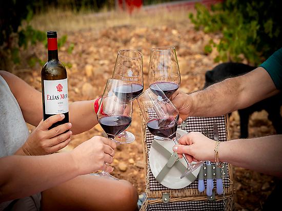 tasting wine
