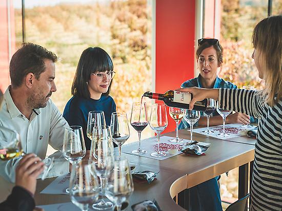 wine tasting