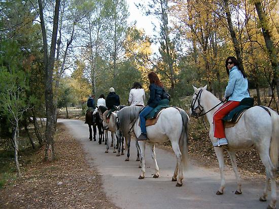 Horseback riding in the nature.