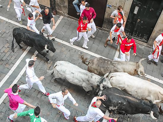Bull run balcony Pamplona
