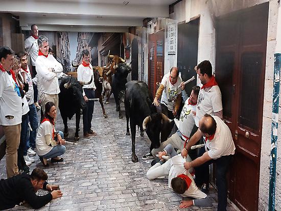 Tour San Fermín 365 tour