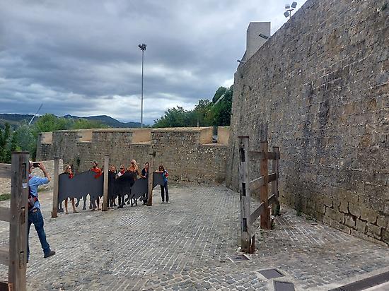 Tour San Fermín 365 tour