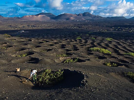 La Geria, Lanzarote