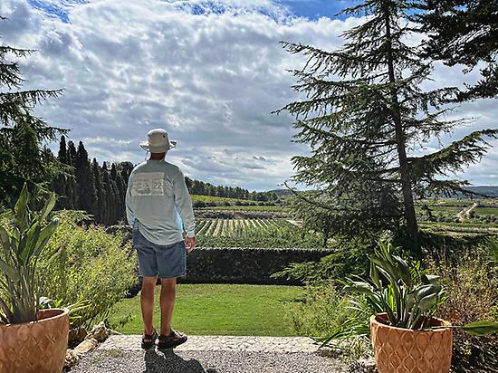 Nature and contemplation of vineyards