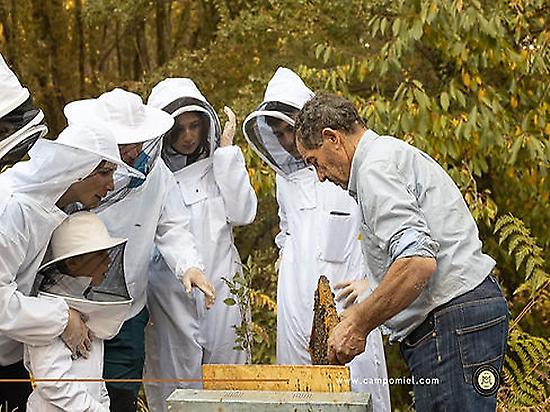 Visit to the Bee Sanctuary 