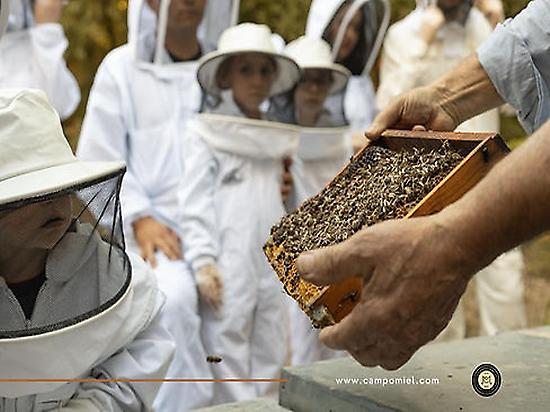 Visita al Santuario de las Abejas