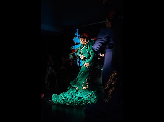 Espectáculo Flamenco Tierra Mia Málaga