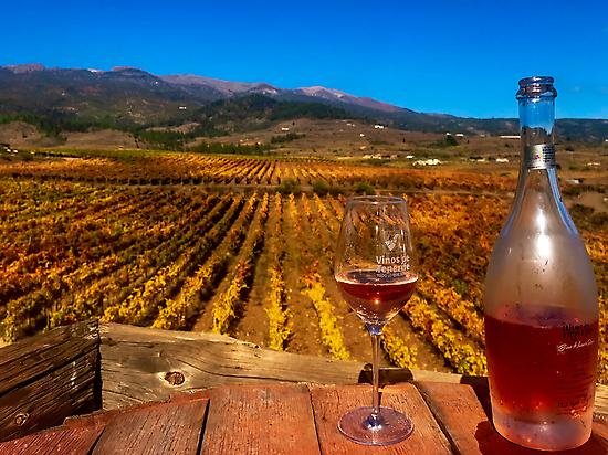 Tour guiado privado vinos de Tenerife
