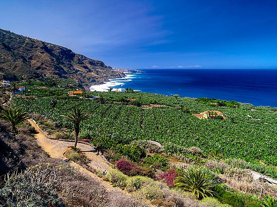 Private Guided Tour to North Tenerife