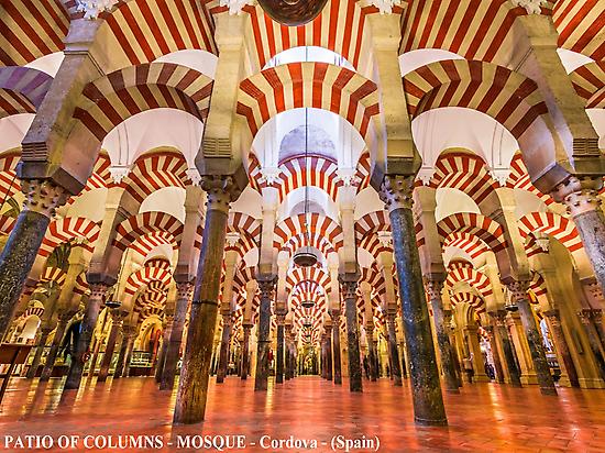 Patio de columnas - Mezquita - Córdoba