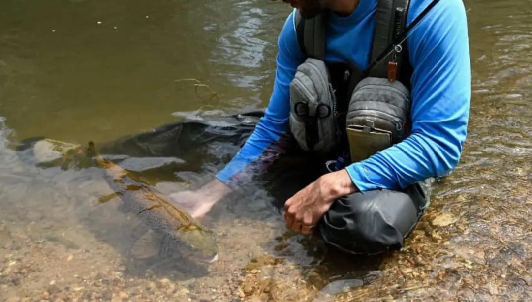 Pesca de grandes truchas trofeo en León