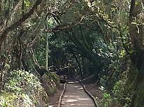 Anaga trail