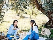 Picnic among olive trees and views