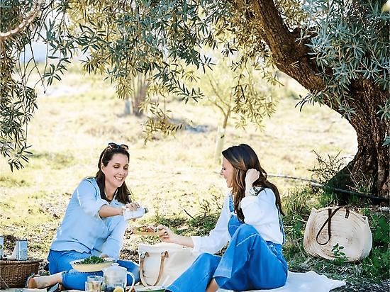 Picnic among olive trees and views