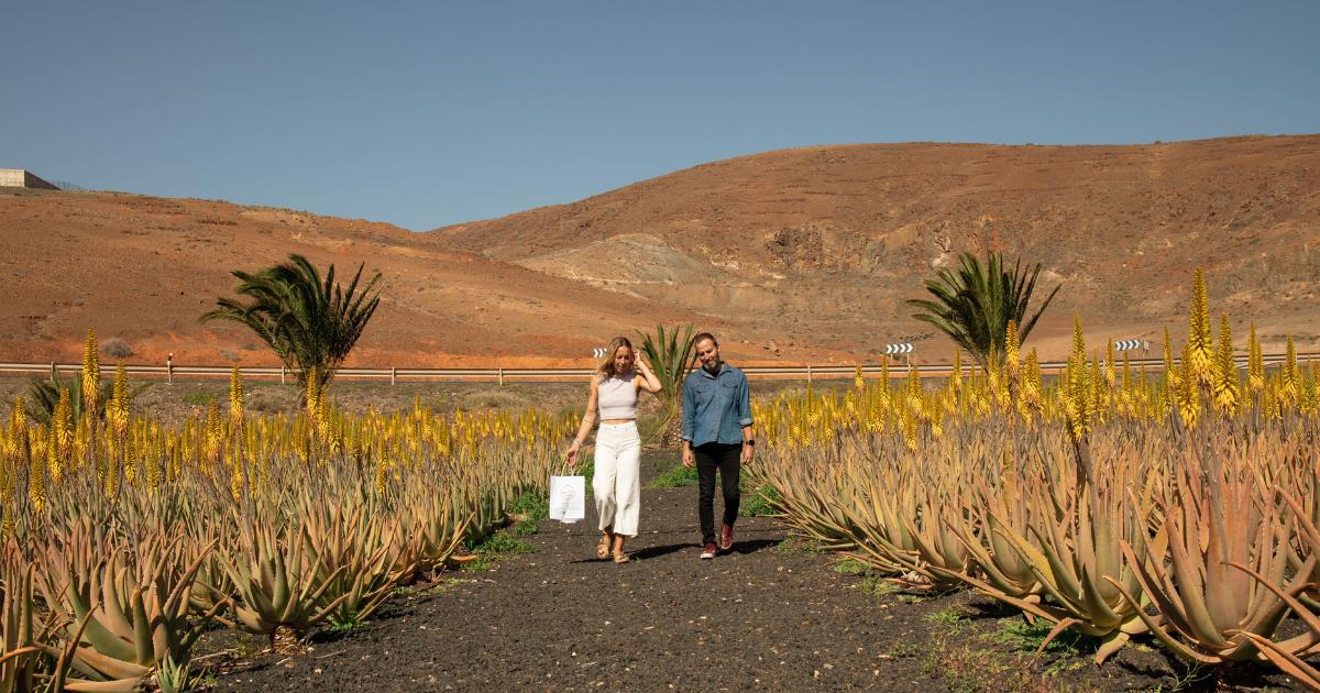 Visita fábrica de Aloe Vera 