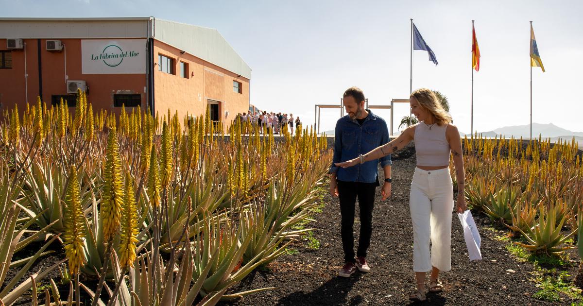 Visita fábrica de Aloe Vera 