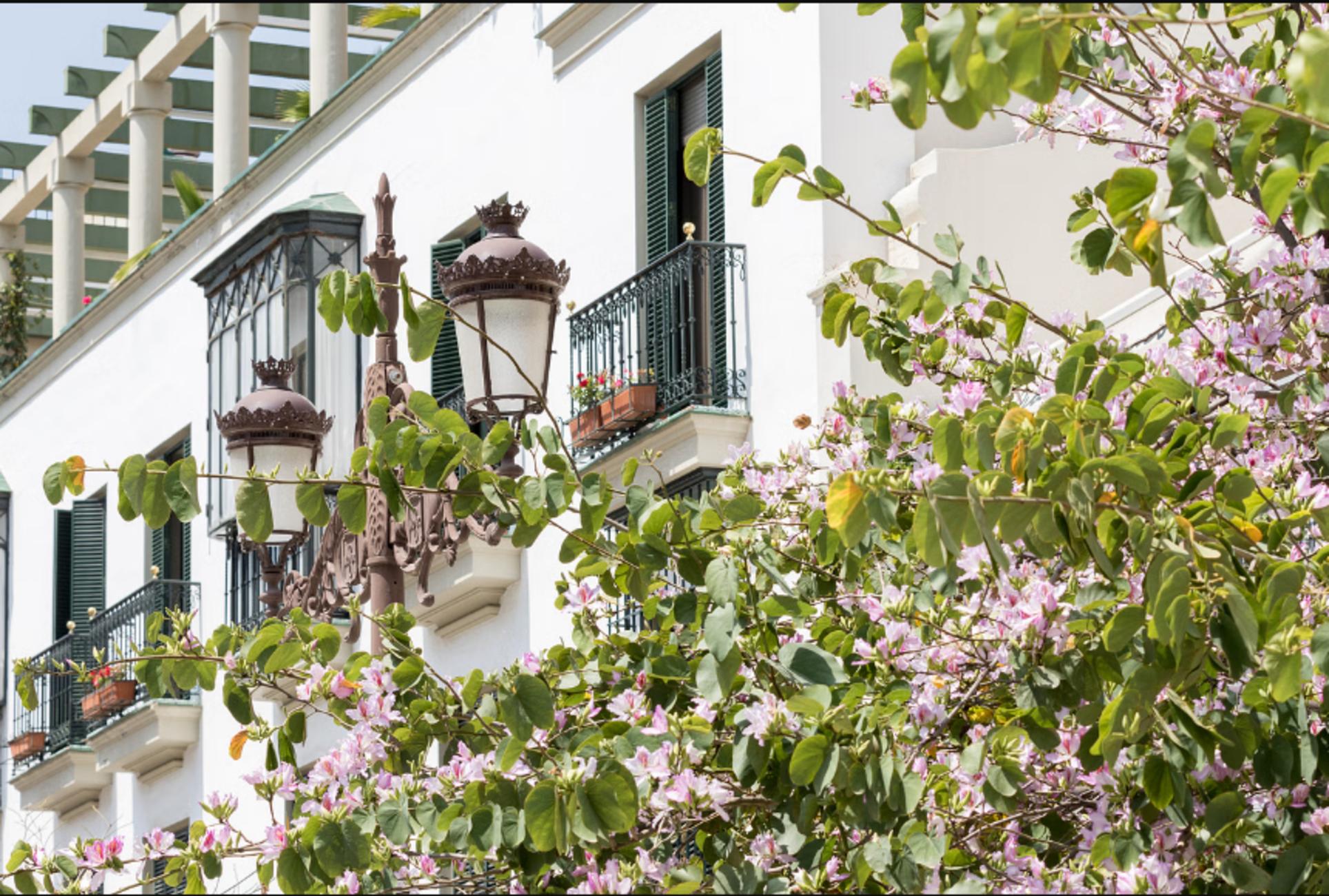 Tour of the Santa Cruz neighbourhood