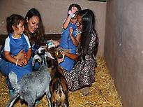 Kids with little goats